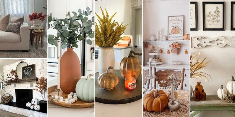 Top Fall Decor Ideas for Home